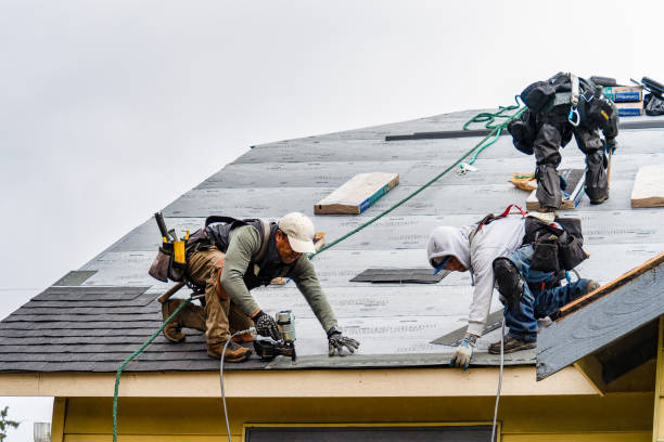 Professional Storm Damage Roof Repair technician working in Buchanan Dam, TX